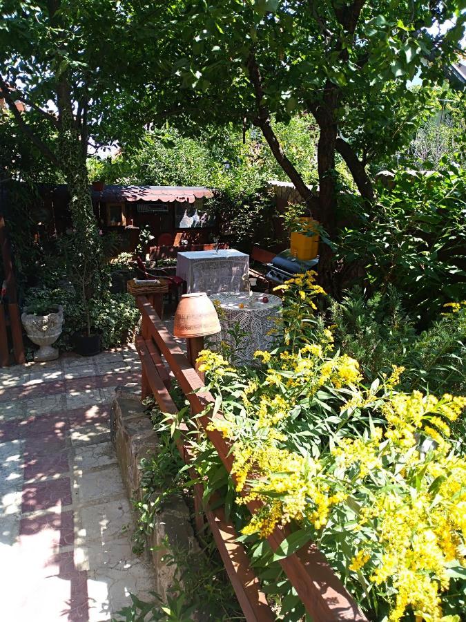 Durmitor Apartment Куманово Екстериор снимка