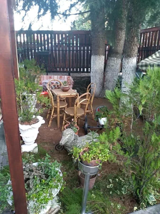 Durmitor Apartment Куманово Екстериор снимка